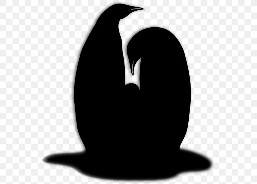 Penguin Clip Art Silhouette Beak, PNG, 555x587px, Penguin, Beak, Bird, Blackandwhite, Flightless Bird Download Free