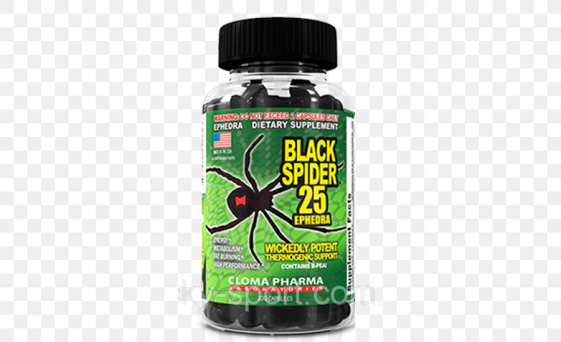 Spider Southern Black Widow Price Dietary Supplement Ephedra, PNG, 500x500px, Spider, Bodybuilding Supplement, Branchedchain Amino Acid, Capsule, Dietary Supplement Download Free