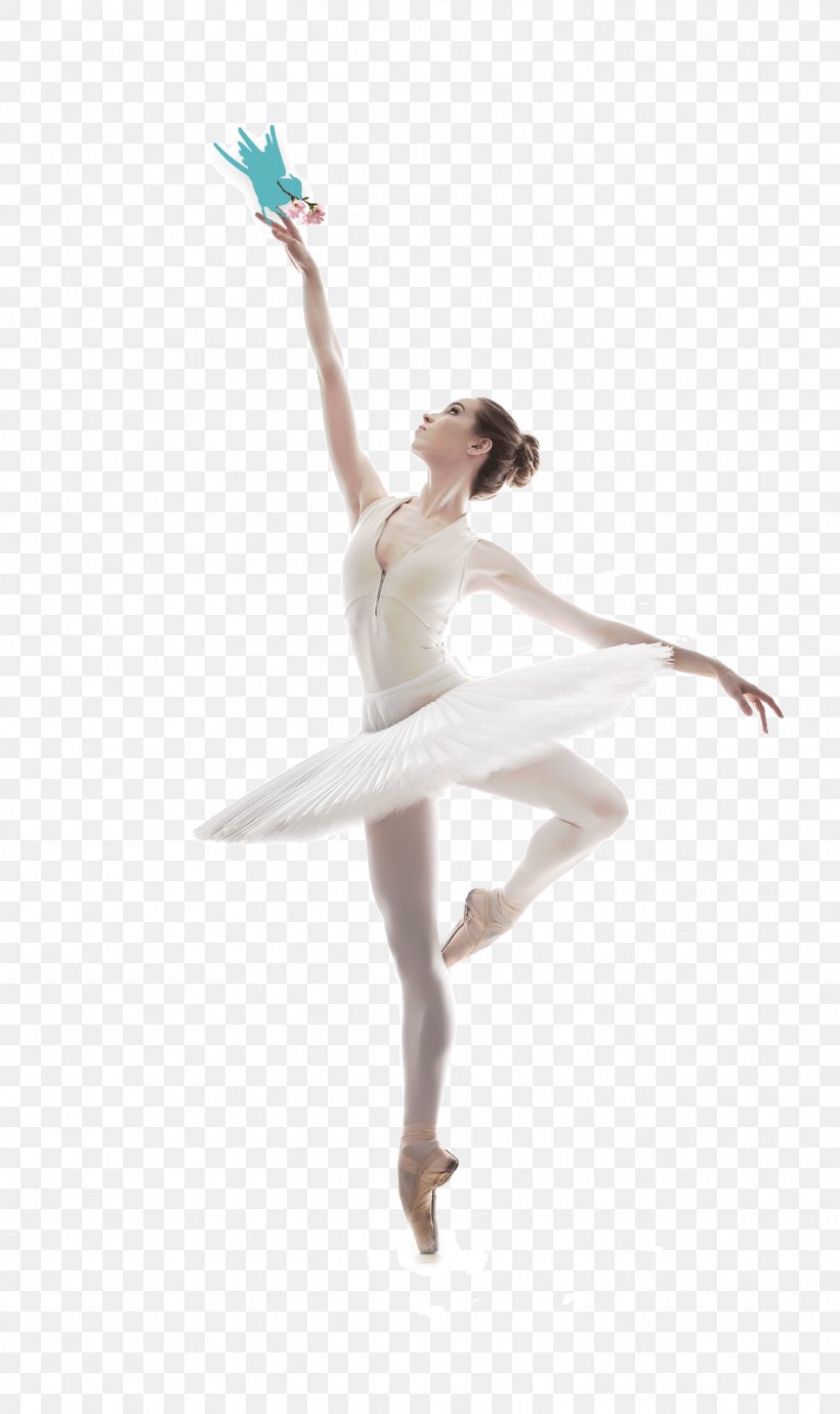Ballet Dancer Pointe Technique, PNG, 1473x2480px, Watercolor, Cartoon, Flower, Frame, Heart Download Free