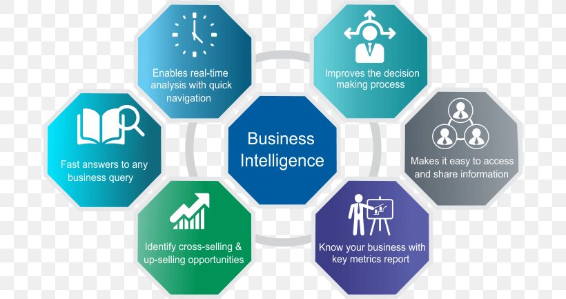 Business Intelligence Software Industry Organization Company, PNG, 696x433px, Business Intelligence, Analytics, Brand, Business Development, Business Information Download Free