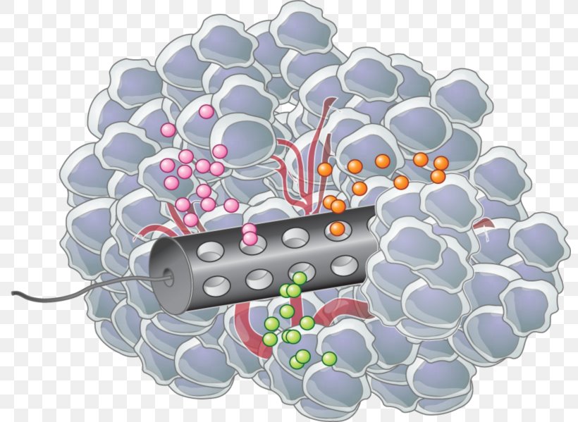 Cancer Drugs Infinite Mile Chemotherapy Pharmaceutical Drug Tissue Engineering, PNG, 800x599px, Chemotherapy, Business, Child, Drug, Grape Download Free