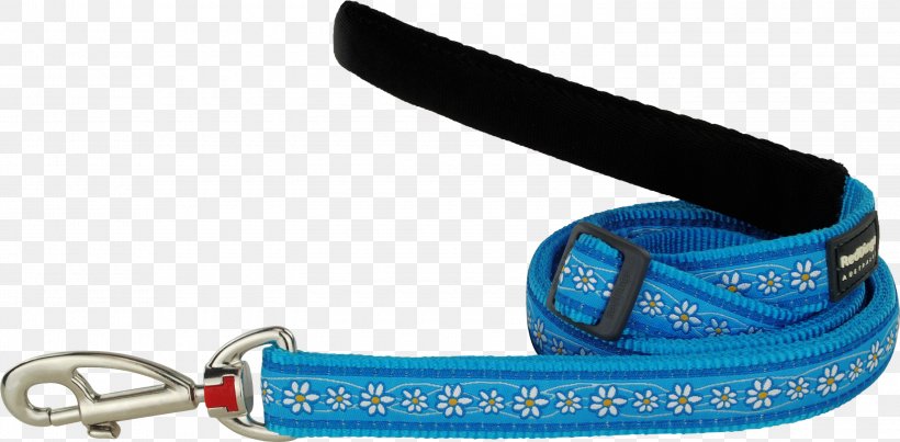 Leash Turquoise Red Daisy Chain Pet, PNG, 3000x1476px, Leash, Chain, Common Daisy, Computer Hardware, Daisy Chain Download Free
