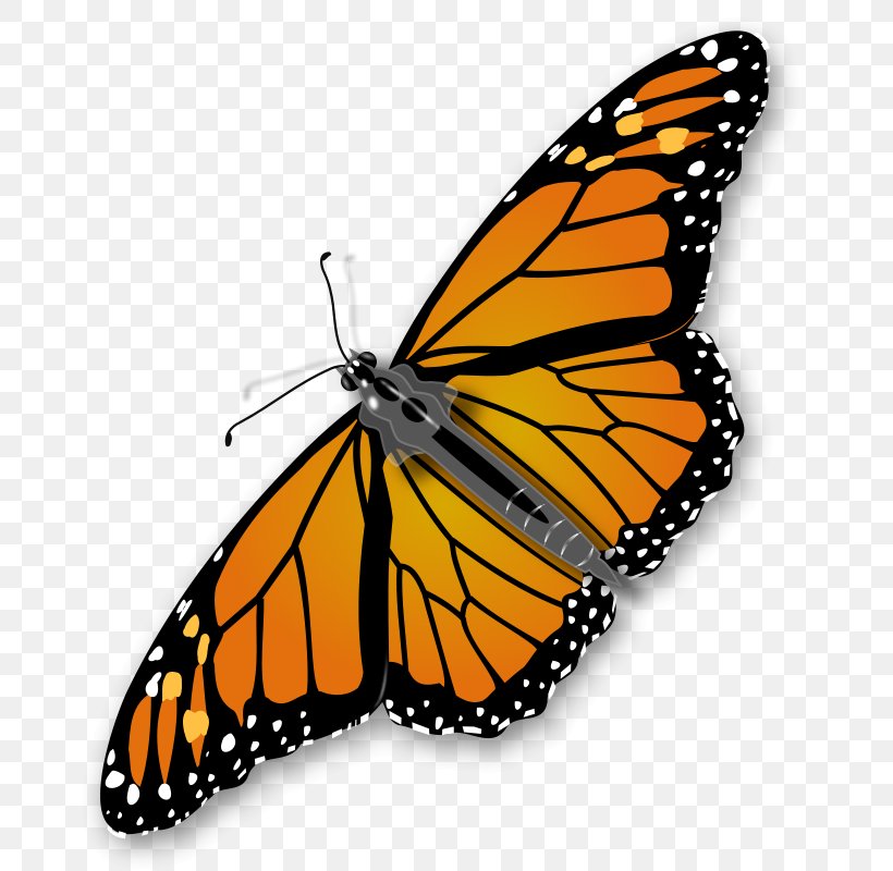 Monarch Butterfly Clip Art, PNG, 691x800px, Butterfly, Arthropod, Brush Footed Butterfly, Copyright, Drawing Download Free