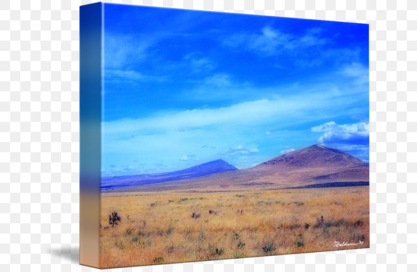 Painting Steppe Grassland Energy Picture Frames, PNG, 650x536px, Painting, Cloud, Ecoregion, Ecosystem, Energy Download Free