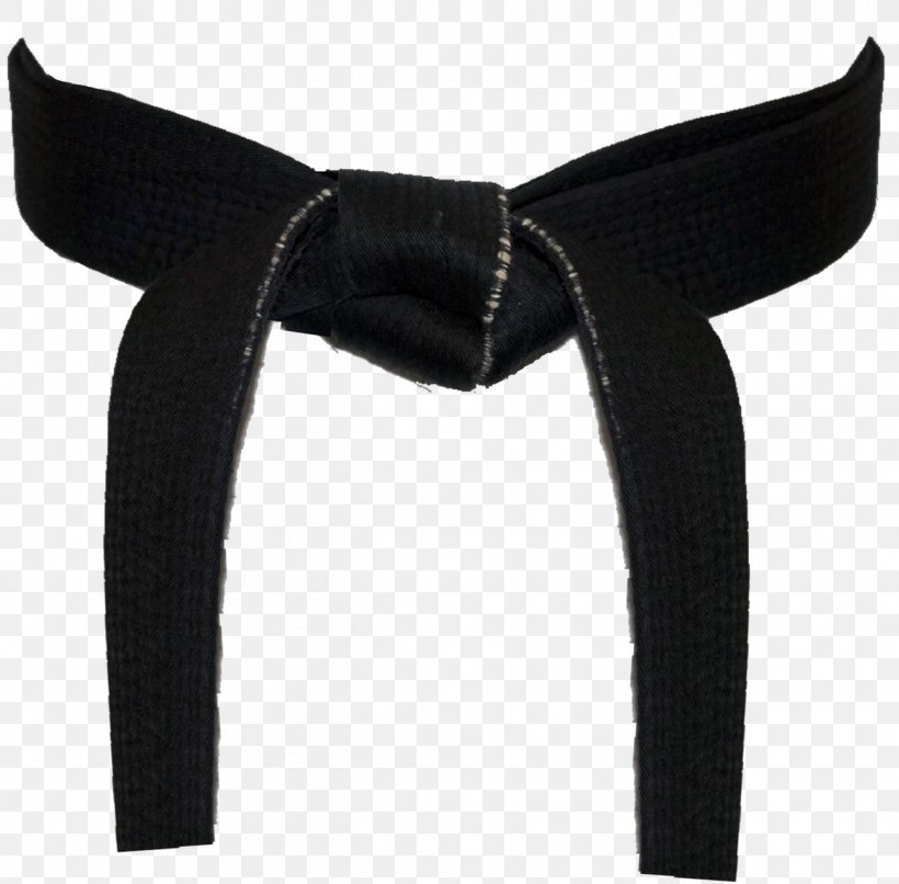 Taekwondo Black Belt Martial Arts Kenpu014d American Kenpo, PNG, 1298x1276px, Taekwondo, American Kenpo, Belt, Black, Black Belt Download Free