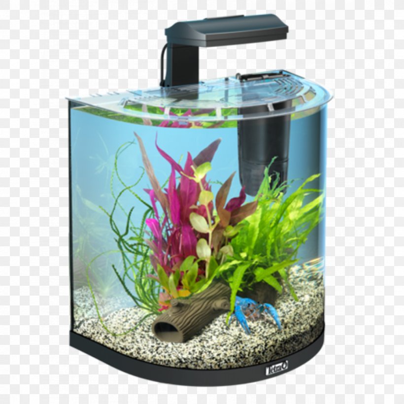Tetra Aquariums Nano Aquarium Goldfish, PNG, 1200x1200px, Tetra, Aquarium, Aquarium Decor, Aquarium Filters, Aquariums Download Free