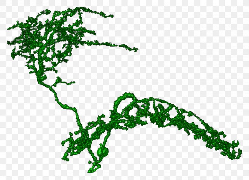 Art Leaf Plant Stem Line Clip Art, PNG, 1217x880px, Art, Branch, Flora, Grass, Green Download Free