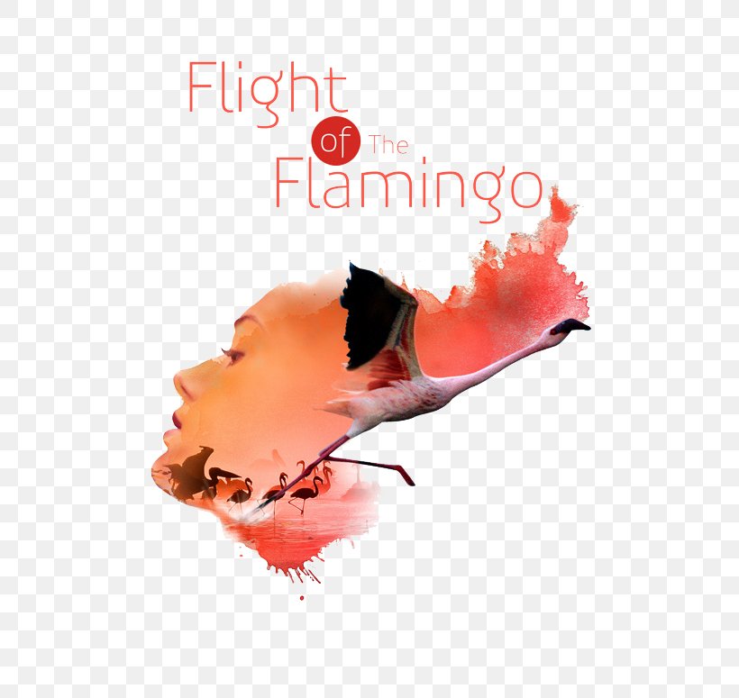Flight Of The Flamingo Graphic Design Poster Designer, PNG, 513x775px, Poster, Art, Designer, Face, Text Download Free
