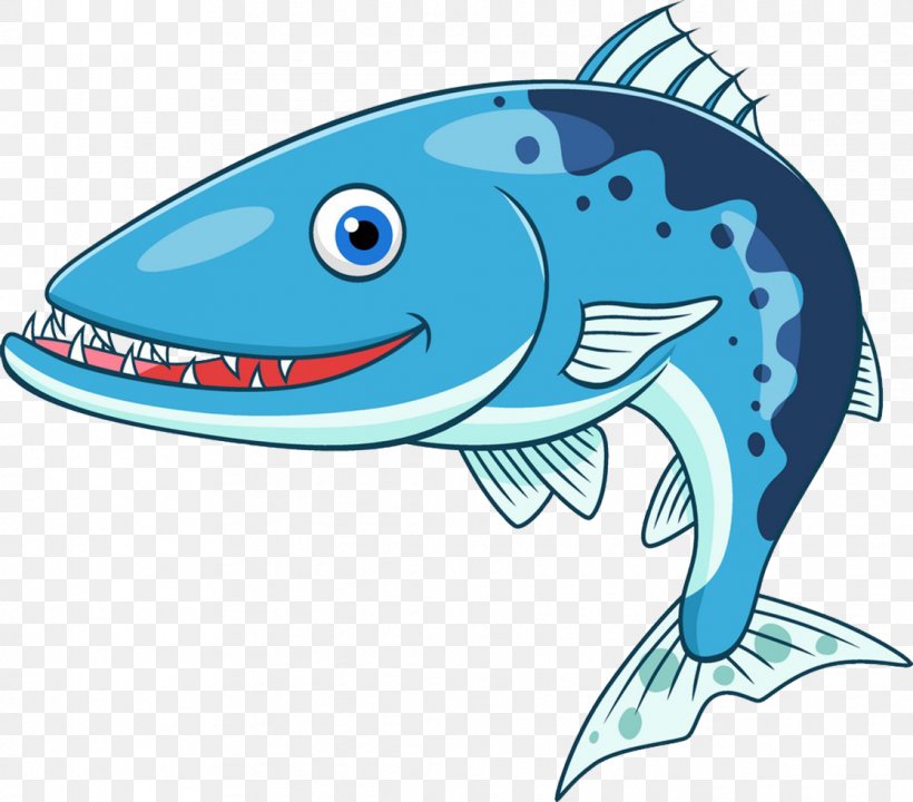 Great Barracuda Cartoon Stock Illustration Clip Art, PNG, 1116x980px, Great Barracuda, Aqua, Barracuda Networks, Barracudas, Cartilaginous Fish Download Free