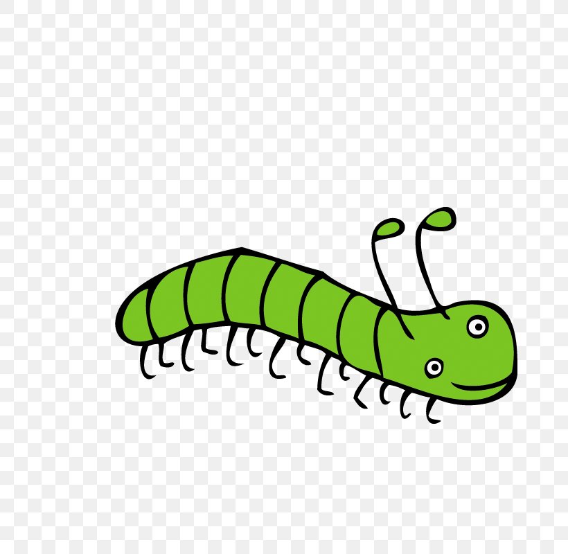 Insect Butterflies And Moths Caterpillar Cartoon, PNG, 800x800px, Insect, Animal, Animation, Area, Butterflies And Moths Download Free