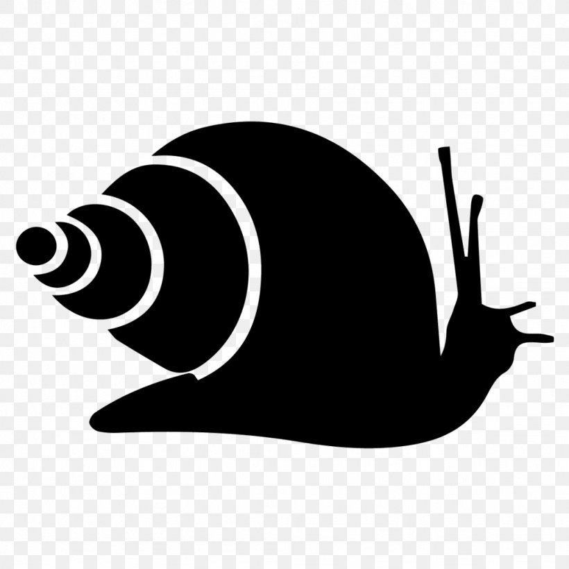 Snail Gastropods Clip Art, PNG, 1024x1024px, Snail, Black And White, Gastropods, Invertebrate, Molluscs Download Free