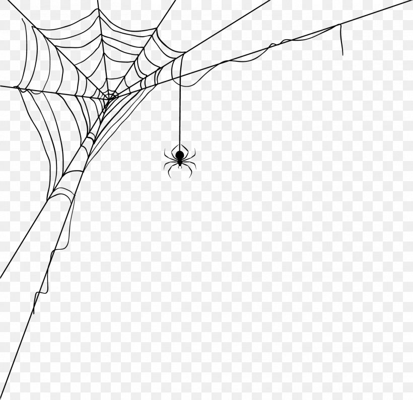 Spider Web World Wide Web Spider Silk, PNG, 1501x1457px, Spider, Area, Black, Black And White, Erasermate Download Free