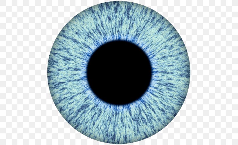 Iris Human Eye Pupil Eye Color, PNG, 500x500px, Watercolor, Cartoon, Flower, Frame, Heart Download Free