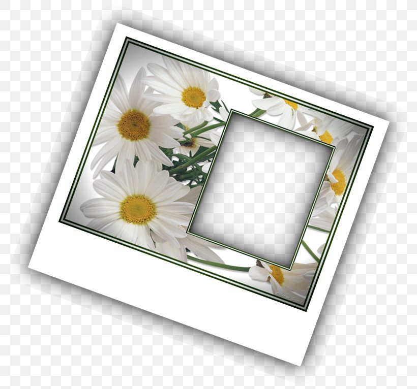 Picture Frames PhotoScape Photography GIMP, PNG, 800x766px, Picture Frames, Banja Luka Stock Exchange, Computer Mouse, Flower, Framing Effect Download Free
