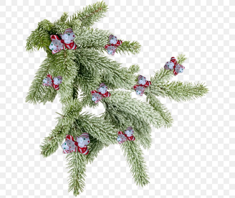 Spruce Pine Fir Twig Tree, PNG, 649x689px, Spruce, Branch, Christmas Decoration, Christmas Ornament, Conifer Download Free