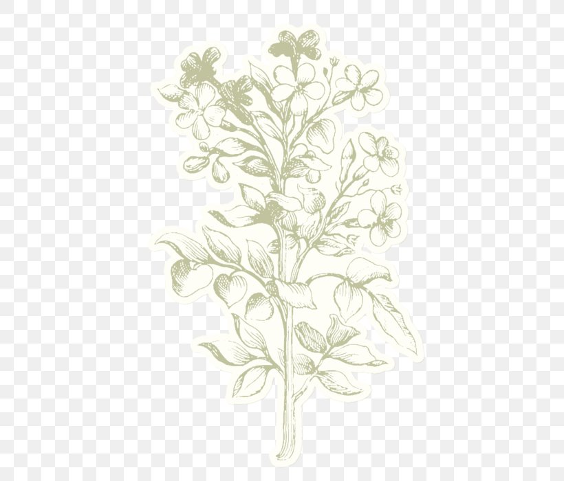 Twig Leaf Plant Stem, PNG, 447x700px, Twig, Branch, Flora, Flower, Flowering Plant Download Free