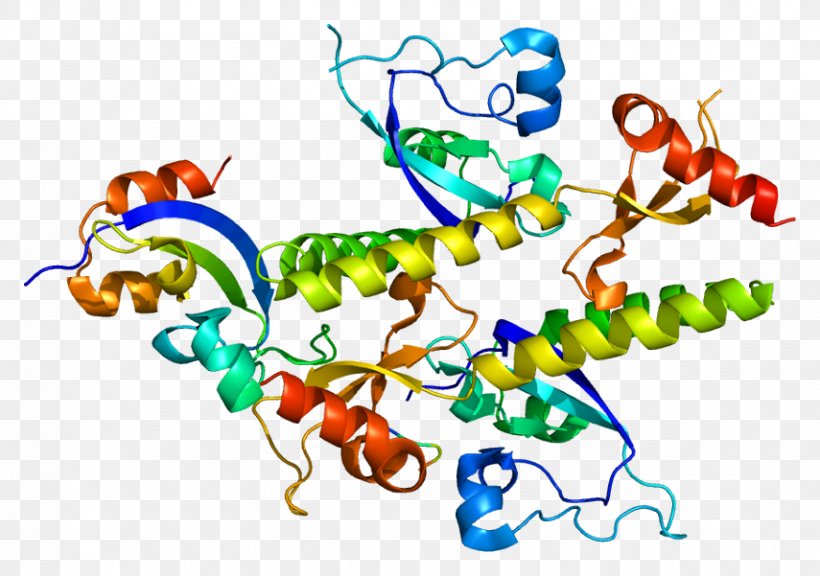 CHD1 Chromodomain Protein Helicase Gene, PNG, 855x601px, Chromodomain, Amino Acid, Area, Art, Artwork Download Free