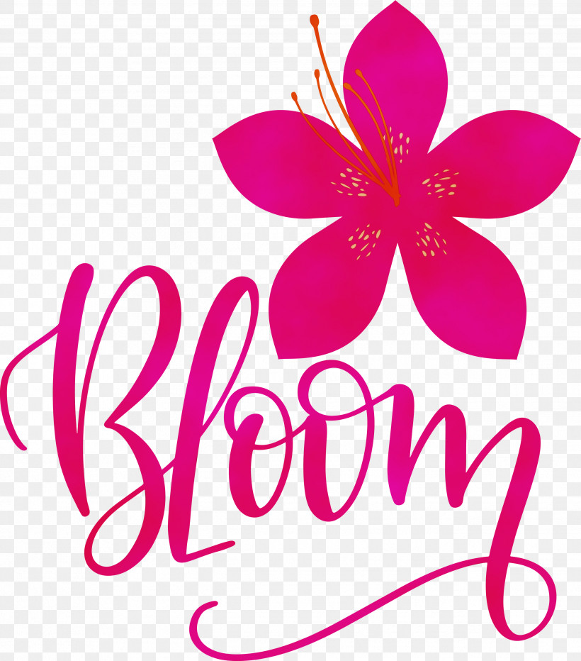 Garden Roses, PNG, 2637x3000px, Bloom, Borotalco, Deodorant, Flower, Garden Roses Download Free