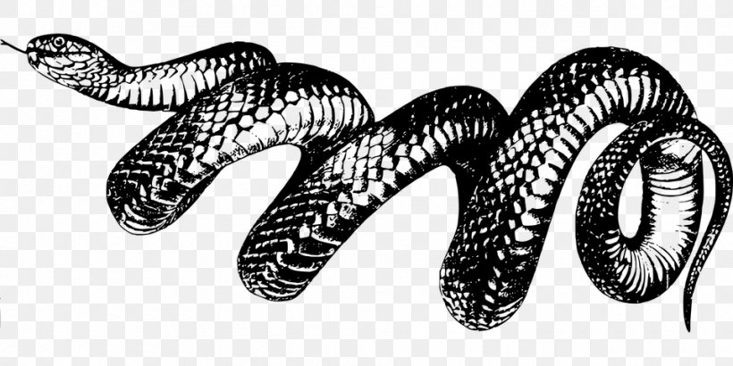 Snake T-shirt Clip Art, PNG, 960x480px, Snake, Black And White, Cobra, Common European Viper, Copperhead Download Free