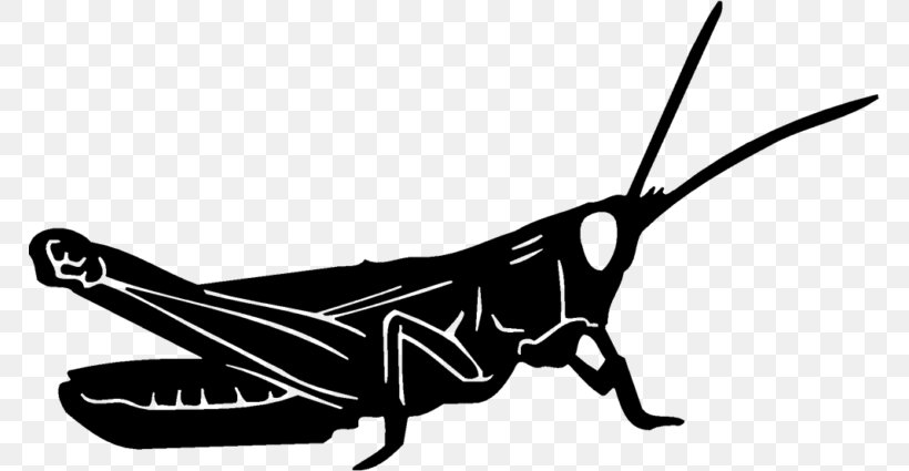 Butterfly Insect Grasshopper Decal Wing, PNG, 768x425px, Butterfly, Arthropod, Black And White, Butterflies And Moths, Car Download Free