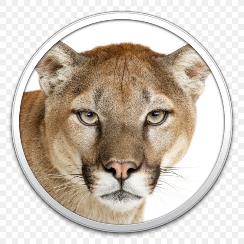 Mac Mini OS X Mountain Lion MacOS Mac OS X Lion, PNG, 894x894px, Mac Mini, App Store, Apple, Big Cats, Calendar Download Free