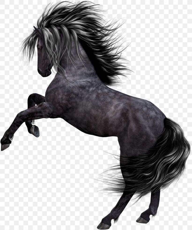 Mustang Akhal-Teke Pony Przewalski's Horse, PNG, 1004x1200px, Mustang, Akhalteke, Animal, Black And White, Bridle Download Free