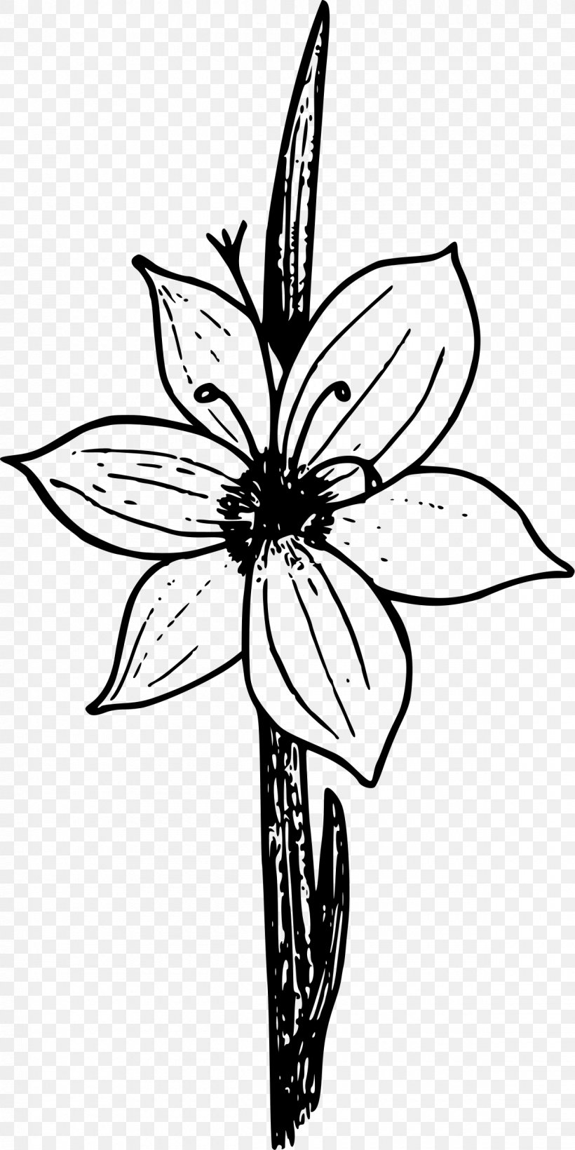 Olsynium Douglasii Clip Art, PNG, 1200x2400px, Floral Design, Artwork, Black, Black And White, Cut Flowers Download Free
