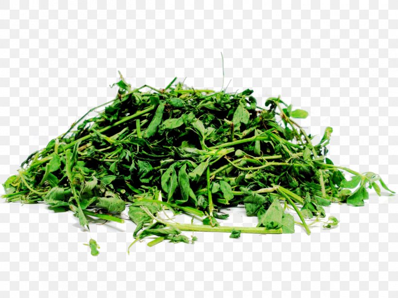 Silage Alfalfa Straw Fodder Seed, PNG, 1250x938px, Silage, Alfalfa, Animal Feed, Aonori, Beet Pulp Download Free