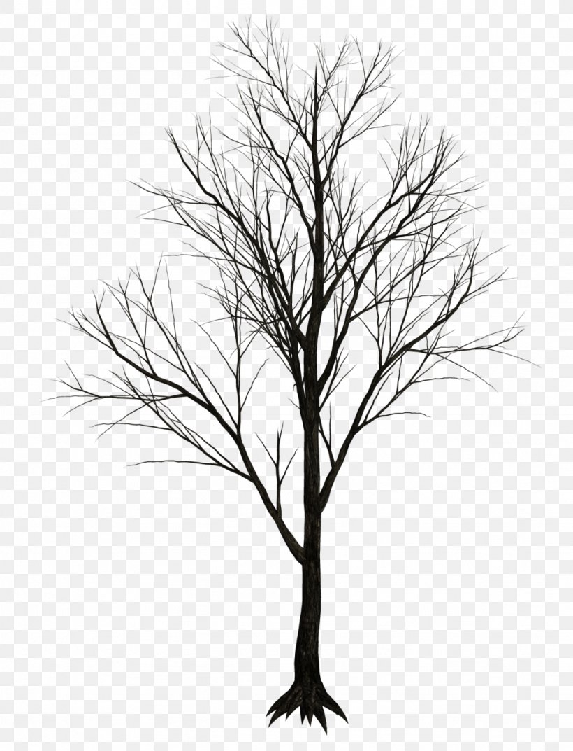 Tree Drawing Clip Art, PNG, 1024x1341px, Tree, Alpha Compositing, Black And White, Branch, Color Download Free