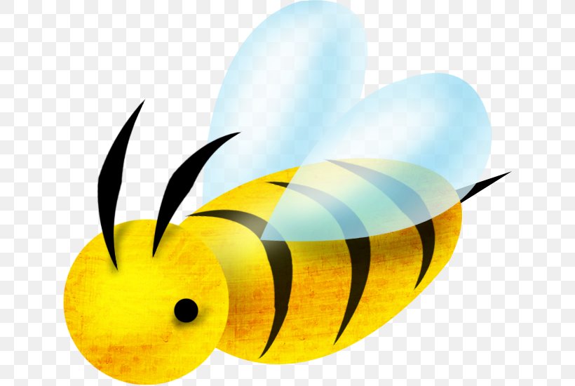 Bee Drawing Clip Art, PNG, 641x550px, Bee, Animated Film, Apis Florea, Butterfly, Cartoon Download Free