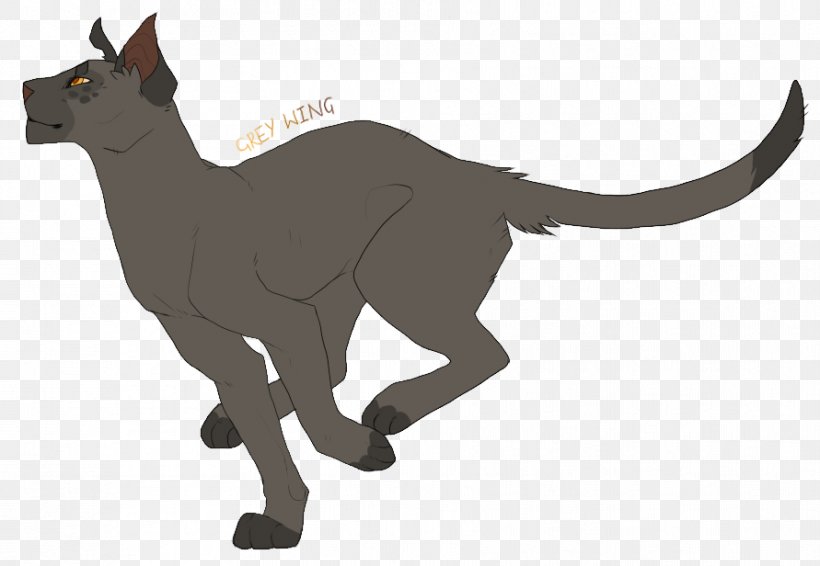 Cat Whiskers Warriors The Sun Trail Erin Hunter, PNG, 891x616px, Cat, Animal, Animal Figure, Art, Book Download Free