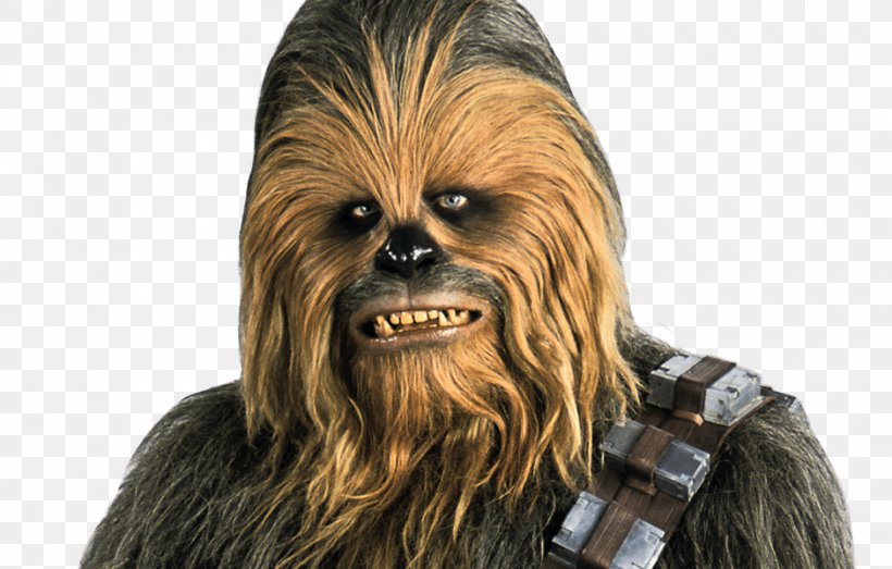 Chewbacca Anakin Skywalker Leia Organa Palpatine Han Solo, PNG, 940x600px, Chewbacca, Anakin Skywalker, Boba Fett, Droid, Fictional Character Download Free