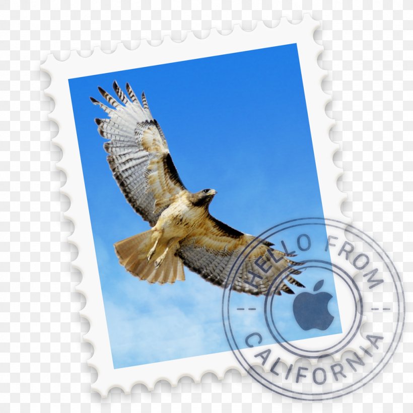 Email Apple MacOS ICloud, PNG, 1024x1024px, Mail, Apple, Bird, Bird Of Prey, Calendar Download Free