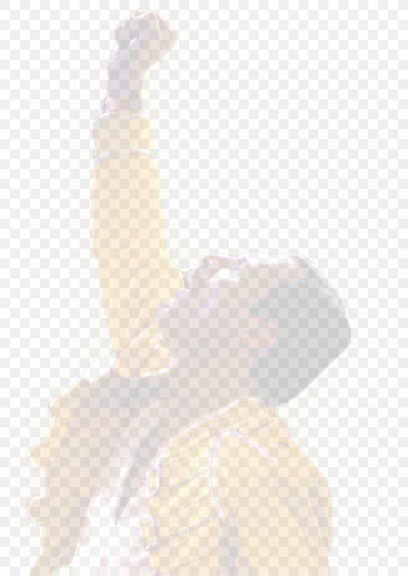 Finger Sleeve Shoulder Freddie Mercury, PNG, 842x1191px, Finger, Arm, Freddie Mercury, Hand, Joint Download Free