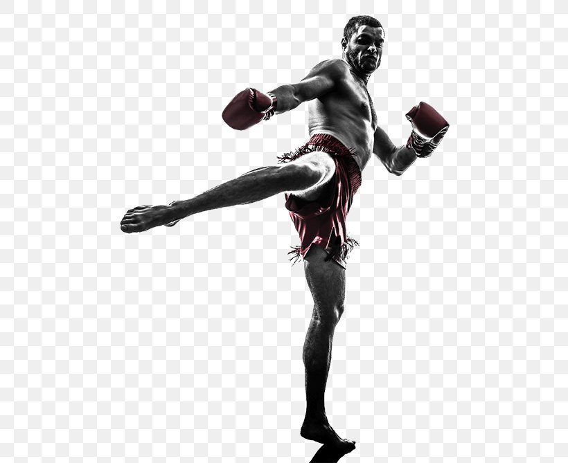 Muay Thai Kickboxing Martial Arts Sparring, PNG, 500x669px, Muay Thai, Aggression, Boxing, Boxing Glove, Buakaw Banchamek Download Free