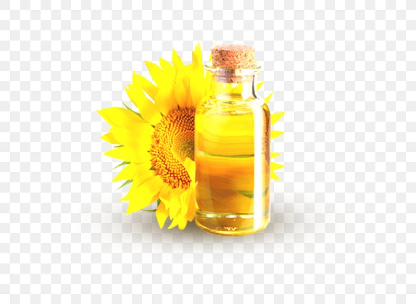 Common Sunflower Sunflower Oil Sunflower Seed Carrier Oil, PNG, 600x600px, Common Sunflower, Almond Oil, Canola, Carrier Oil, Coconut Oil Download Free