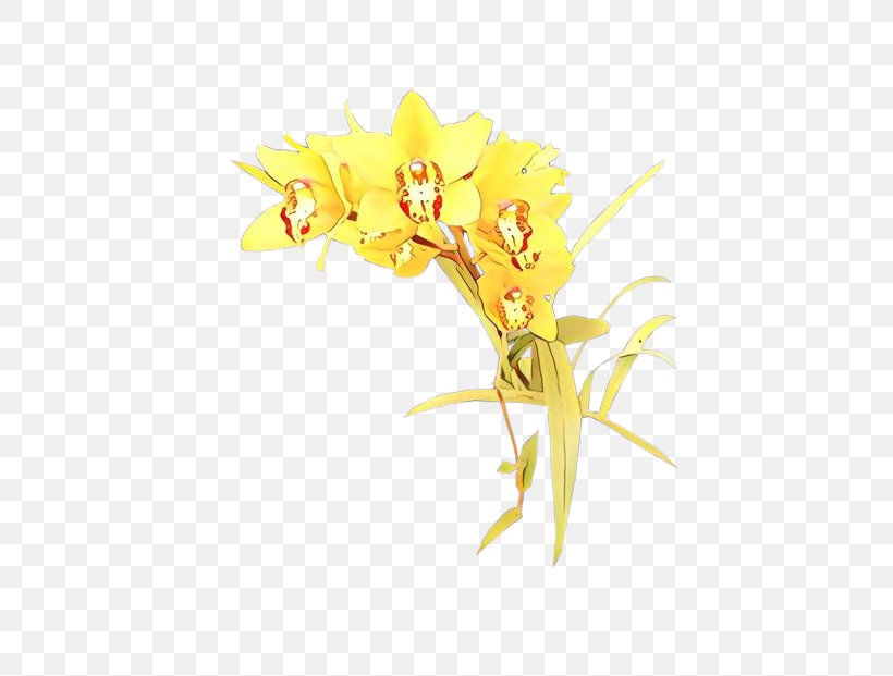 Flower Flowering Plant Yellow Plant Petal, PNG, 700x621px, Cartoon, Flower, Flowering Plant, Petal, Plant Download Free