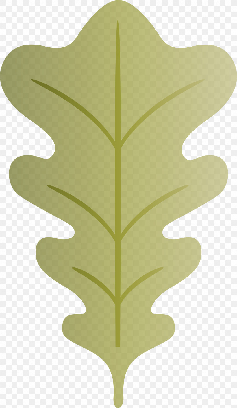 Oak Leaf, PNG, 1744x3000px, Oak Leaf, Biology, Leaf, Plant Structure, Plants Download Free