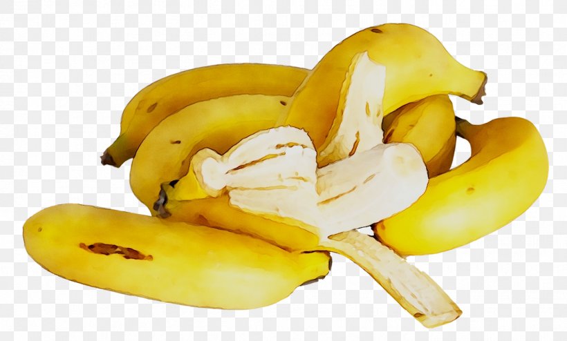 Saba Banana Cooking Banana Food Golden Banana, PNG, 1354x816px, Saba Banana, Agriculture, Banana, Banana Family, Bill Gates Download Free