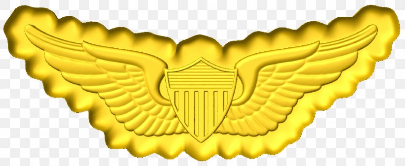 United States Army Military Army Aviation United States Of America, PNG, 910x375px, United States Army, Aircrew Badge, Army, Army Aviation, Badge Download Free