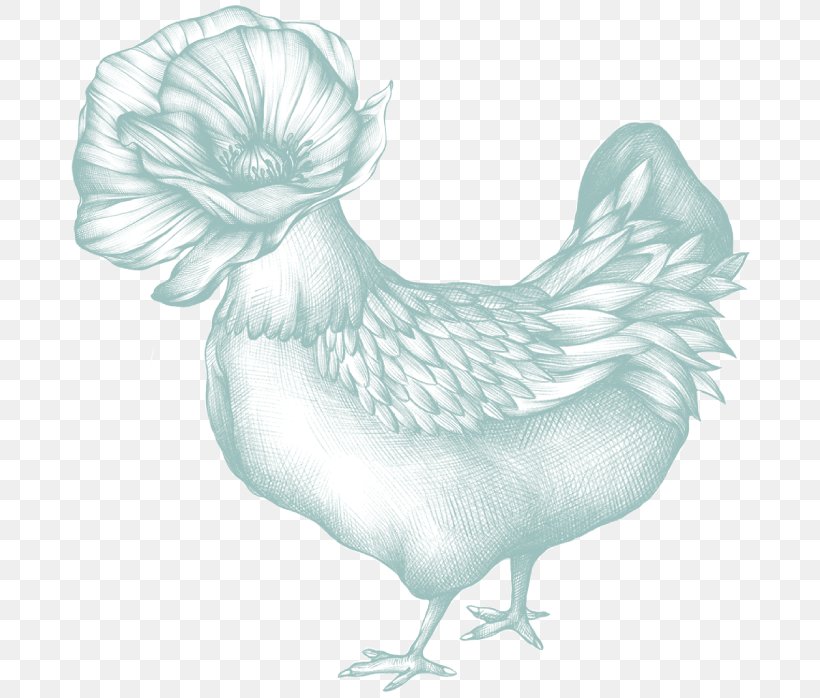Chicken Bird Phasianidae Fowl Poultry, PNG, 686x698px, Chicken, Animal, Beak, Bird, Drawing Download Free