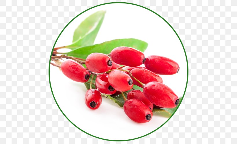 Cranberry Flavor Food Herb Crataegus Laevigata, PNG, 500x500px, Cranberry, Auglis, Barberry, Berry, Crataegus Laevigata Download Free
