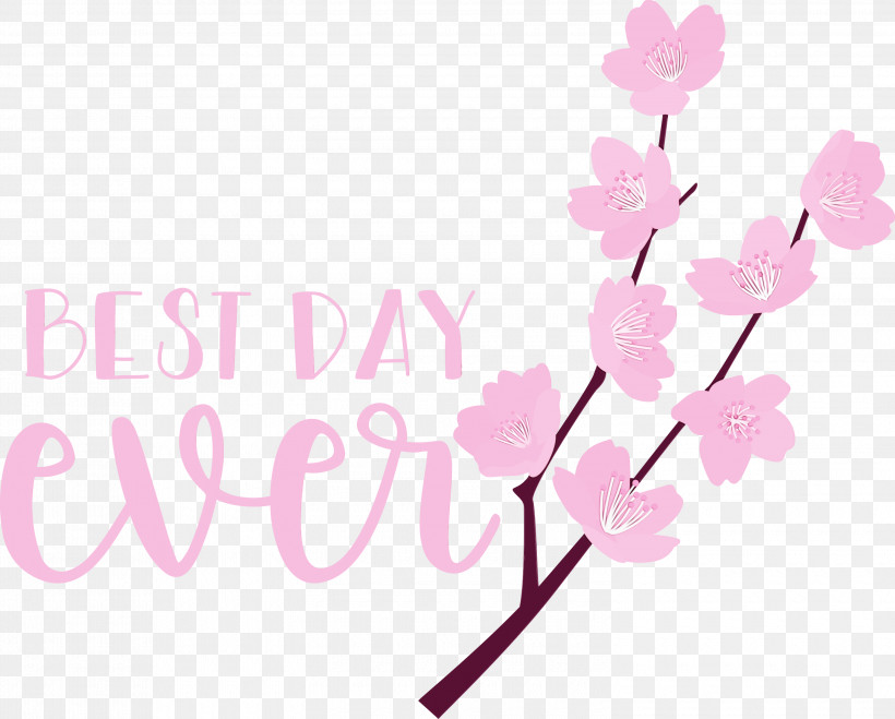 Floral Design, PNG, 3000x2413px, Best Day Ever, Biology, Branching, Cherry Blossom, Cut Flowers Download Free