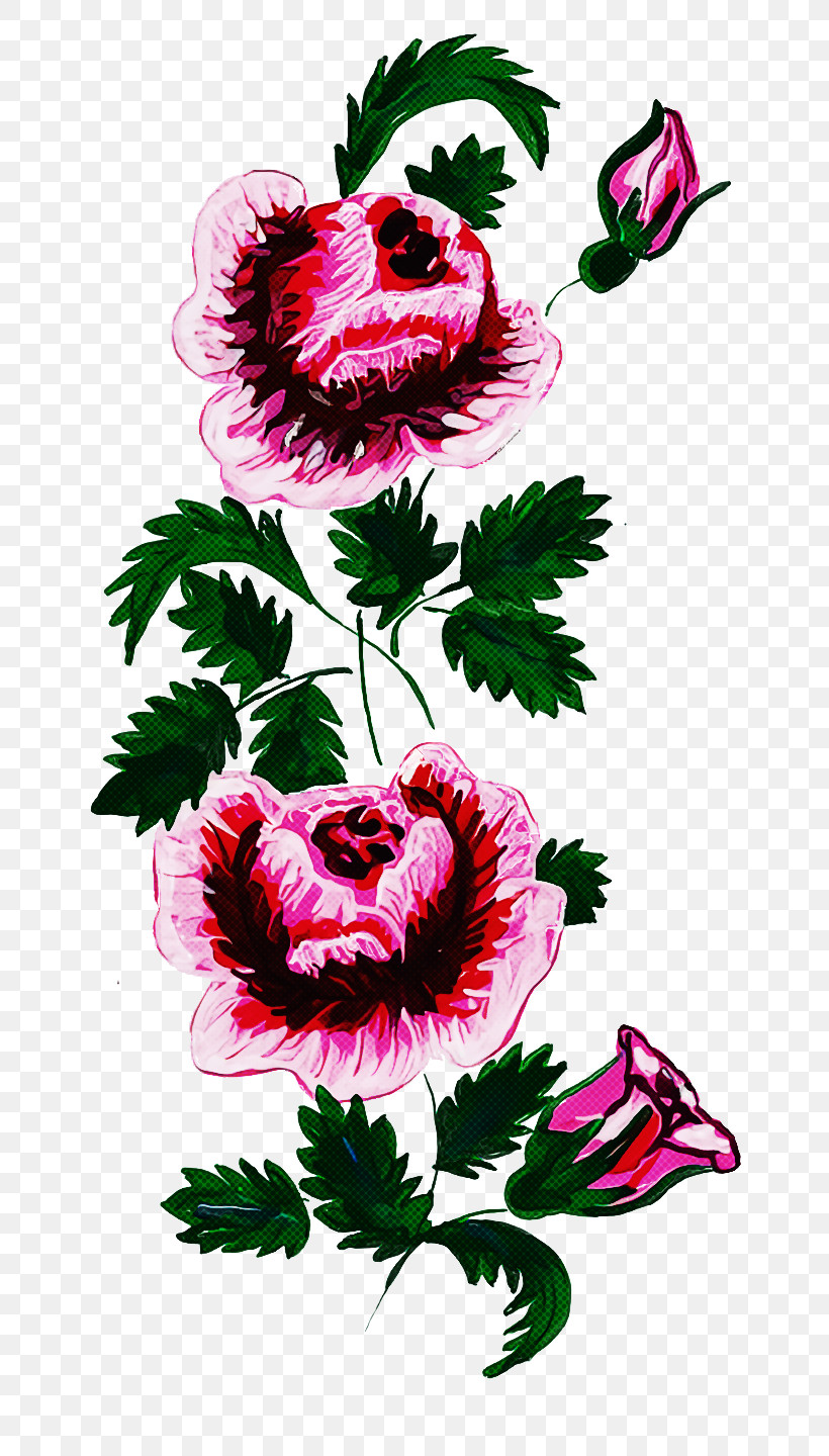 Floral Design, PNG, 810x1440px, Floral Design, Carnation, Chrysanthemum, Cut Flowers, Flower Download Free