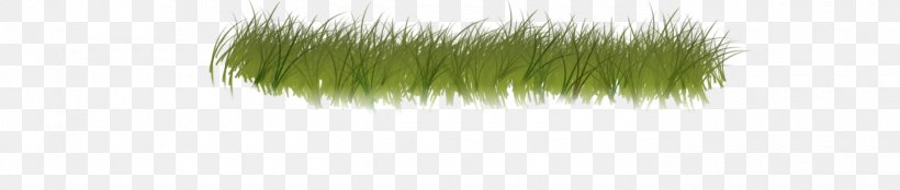 Hair Coloring Green Grasses Family, PNG, 1400x298px, Hair Coloring, Family, Grass, Grass Family, Grasses Download Free