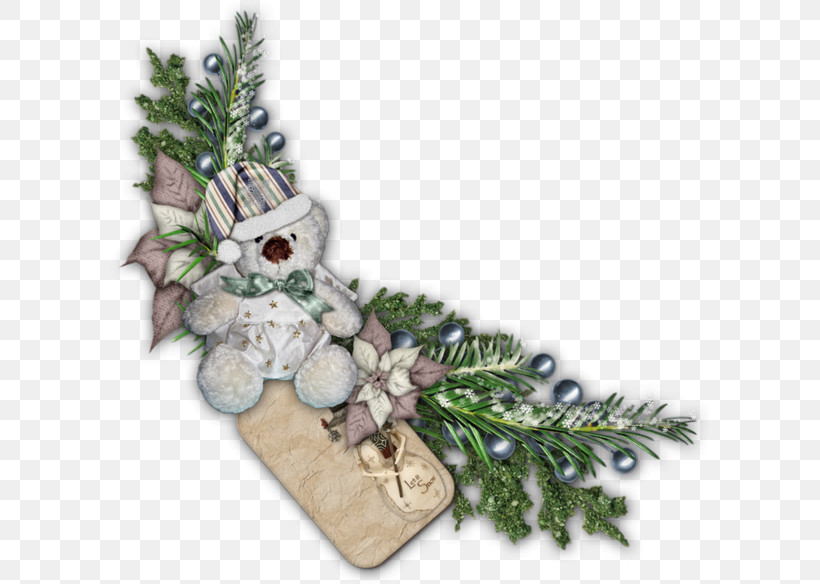 Holly, PNG, 600x584px, Plant, Branch, Colorado Spruce, Conifer, Cypress Family Download Free