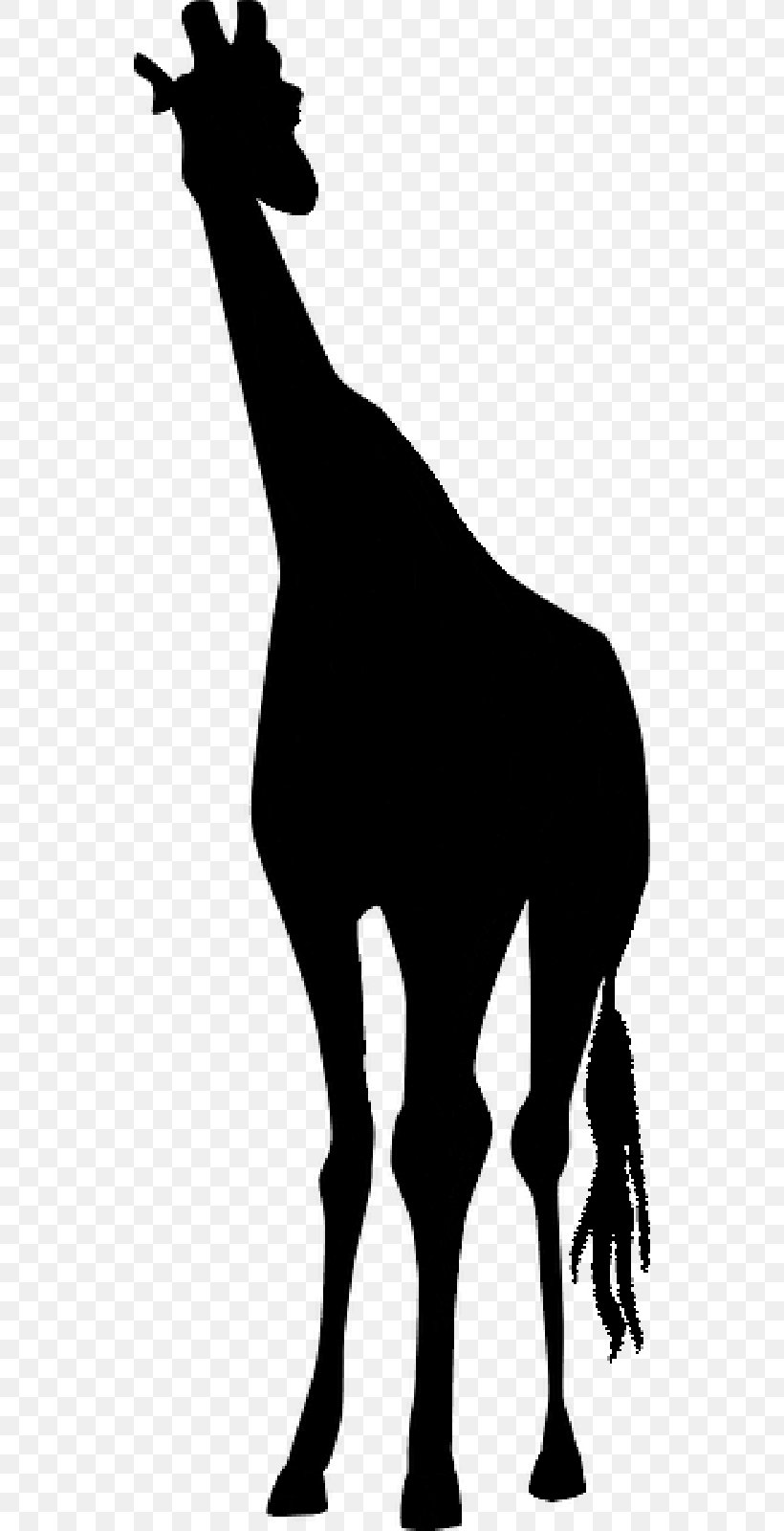 Mustang Horse Stencil Drawing Deer, PNG, 800x1600px, Mustang, Animal, Blackandwhite, Chamois, Deer Download Free