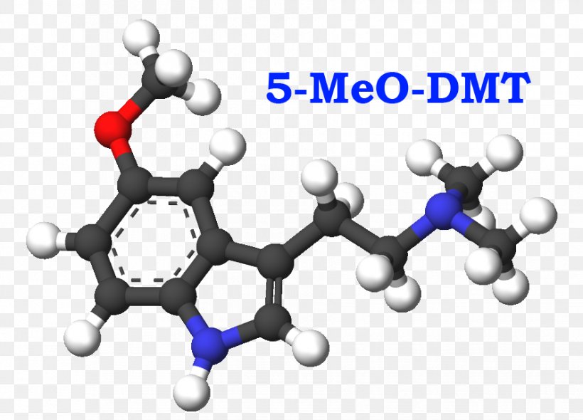 N,N-Dimethyltryptamine O-Acetylpsilocin Melatonin N-Methyltryptamine 5-MeO-DMT, PNG, 890x641px, Nndimethyltryptamine, Ayahuasca, Body Jewelry, Chemistry, Communication Download Free