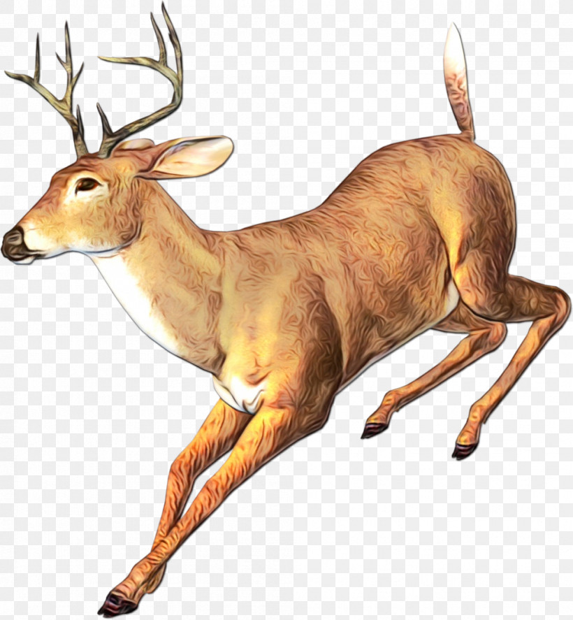 Reindeer, PNG, 998x1080px, Watercolor, Antelope, Antler, Deer, Elk Download Free