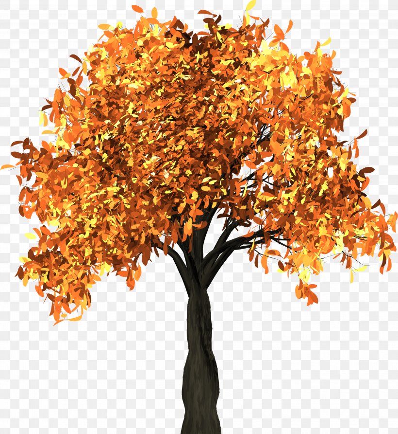 Autumn Leaf Color Tree Branch Landscaping, PNG, 3615x3933px, Autumn Leaf Color, Autumn, Branch, Color, Deciduous Download Free